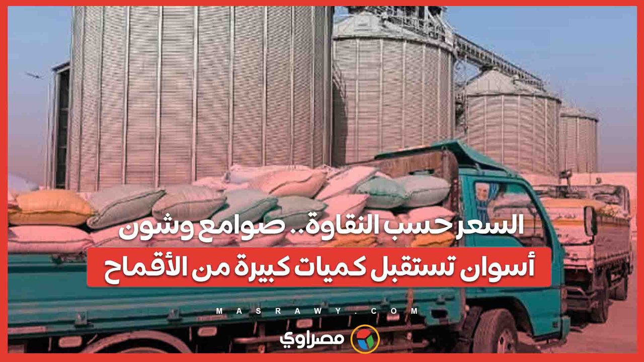 السعر حسب النقاوة.. صوامع وشون أسوان تستقبل كميات كبيرة من الأقماح