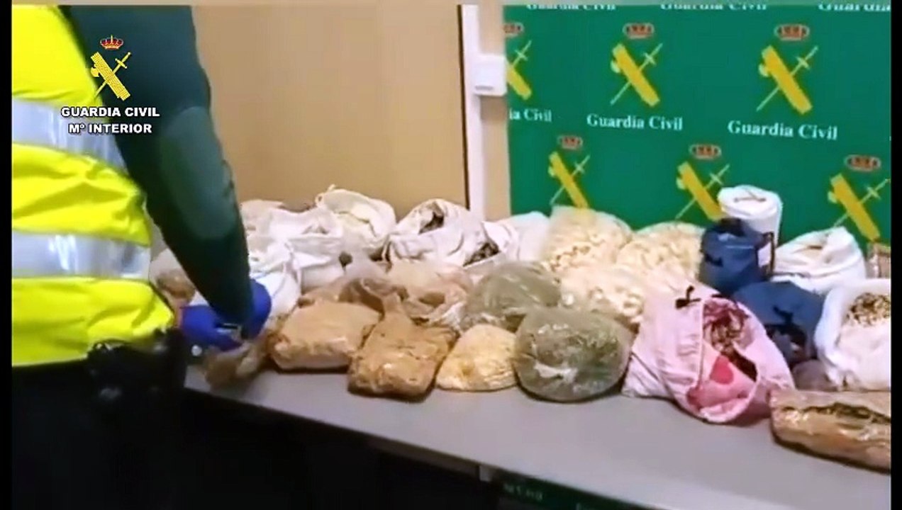 Guardia Civil intercepta más de 30 kilos de alimentos prohibidos y cientos de fármacos en el Aeropuerto de Noáin-Pamplona