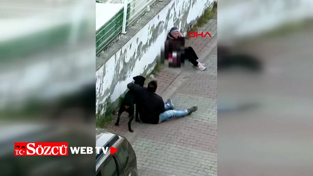 Ümraniye’de ağızlıksız gezdirilen rottweiler, küçük ırk köpeğe saldırdı