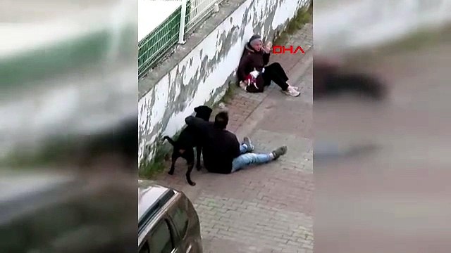 Küçük köpek ameliyata alındı! Ağızlıksız rottweiler sokakta dehşet saçtı