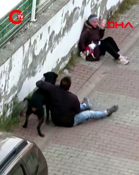 Ümraniye’de ağızlıksız gezdirilen rottweiler, küçük ırk köpeğe saldırdı