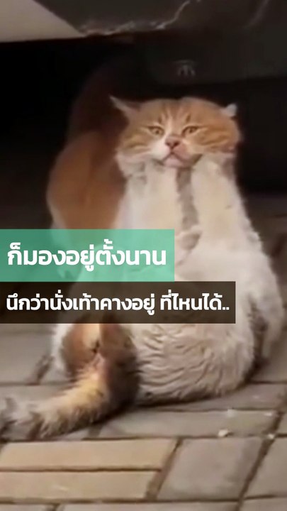 ก็มองอยู่ตั้งนาน... ที่ไหนได้ 🤣