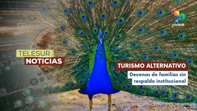 En Guatemala comunidades rurales redefinen la relación entre economía y conservación