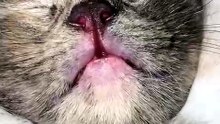 😮😮😮