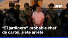 "El jardinero”, probable chef du Cartel de Jalisco, arrêté par la Marine mexicaine