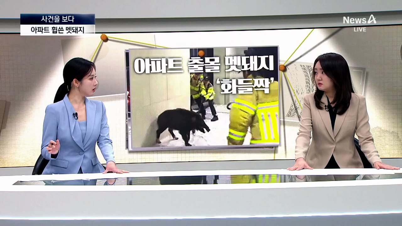 [사건을 보다]미사 중 ‘슬쩍’?…신도들 가방 뒤진 여성