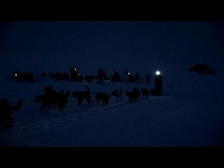 La Grande Odyssée sleddog race - Teaser 3