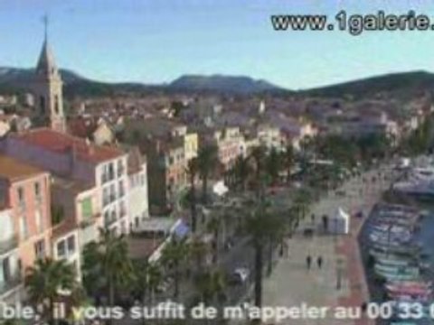 Tournesols et petites roses réf: 2010 Adaoust