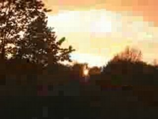 mooie schepping van Allaah