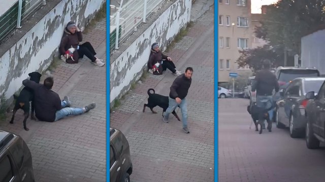 Ağızlıksız gezdirilen rottweiler, küçük köpeğe saldırdı; yaralanan köpeğin sahibi gözyaşları içinde kaldı