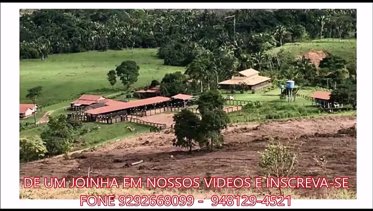 FAZENDA COM 1150 ALQUEIRÃO A VENDA CMC