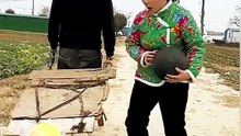 🙃🤣😜 Funny World... #funny #comedy #shorts