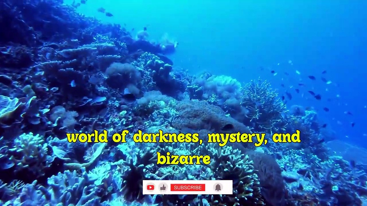 Secrets of the Deep Sea- Bizarre Creatures You Didn’t Know Exist