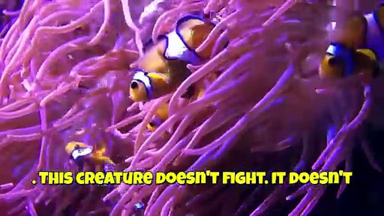 This Octopus Can Turn Into a Sea Snake 😳The Ocean’s Greatest Illusionist (Mimic Octopus Secrets)