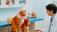 Terrified Kitten Protects Scared Mom at the Vet! 🏥🐱 | Heartwarming Rescue Story
