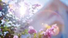 Just To Meet You Episode 21 ¦ English Sub_1280x544