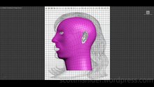 Ponikarovsky: 3DS MAX Practice Polygon Modeling Head Model Video #53 (04-28-2026)