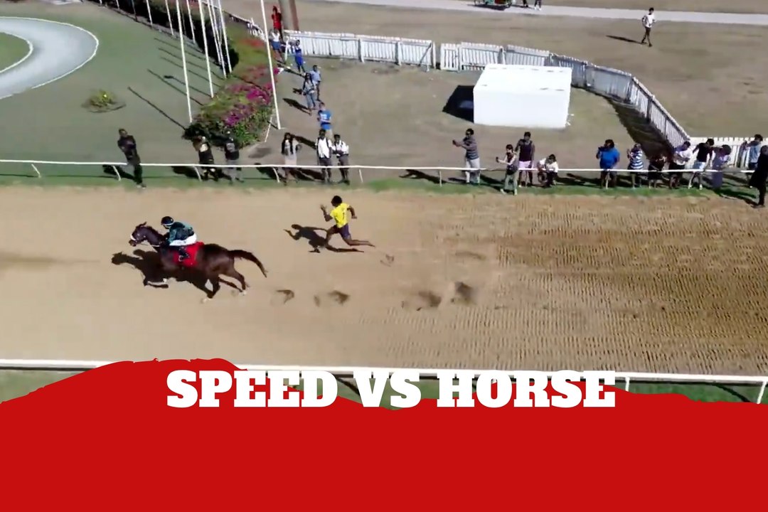 IShowSpeed compite contra un caballo y pierde en segundos