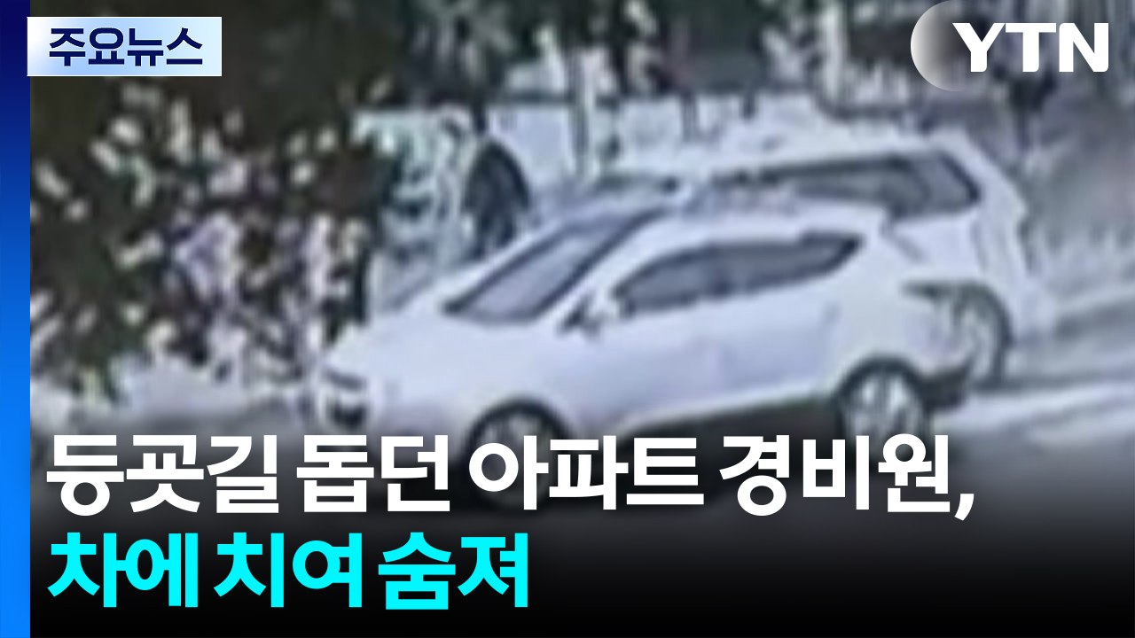 등굣길 돕던 아파트 경비원, 차에 치여 숨져...운전자 "수면제 복용" / YTN