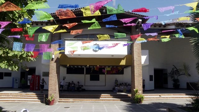 Basurero clandestino en Vallarta desata indignación vecinal | CPS Noticias Puerto Vallarta