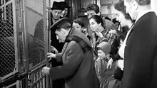 La Banda degli Onesti _ Commedia _ Film Completo in Italiano