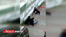 Ümraniye’de ağızlıksız gezdirilen rottweiler, küçük ırk köpeğe saldırdı