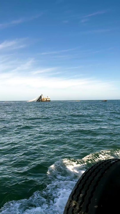 🌻Nature , Ocean and Fishing #fishinglife#fishing#ocean
