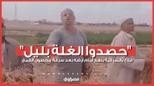 فلاح بالشرقية ينهار أمام أرضه بعد سرقة محصول القمح: "حصدوا الغلة بليل"