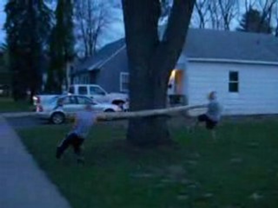 Owned par un arbre