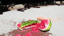 Satisfying crushing crunchy & soft things!
