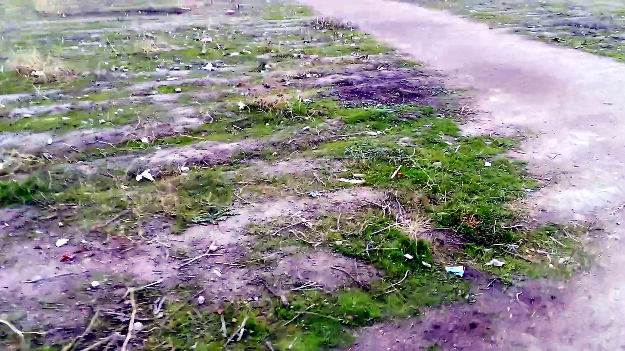 VID_20251210_120147