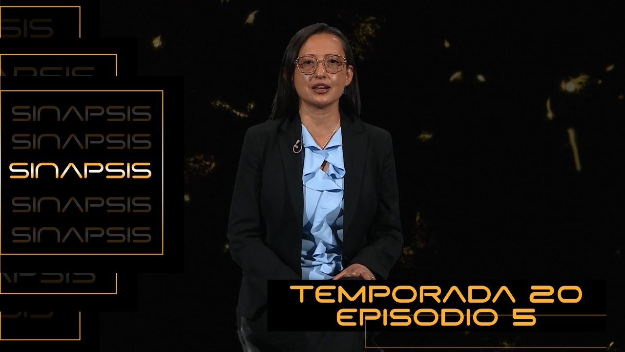 T20 Ep. 05 - Sinapsis | Finanzas en las empresas