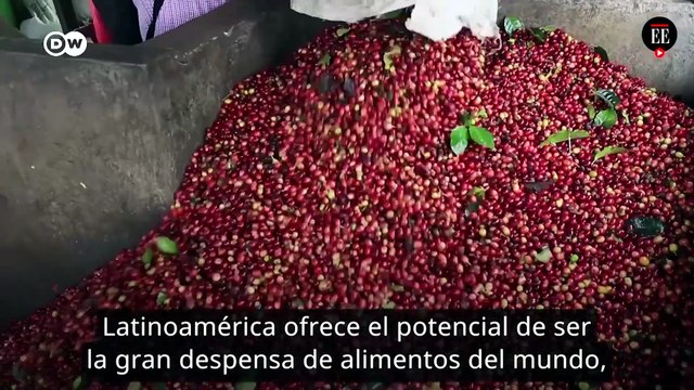Elecciones En América Latina