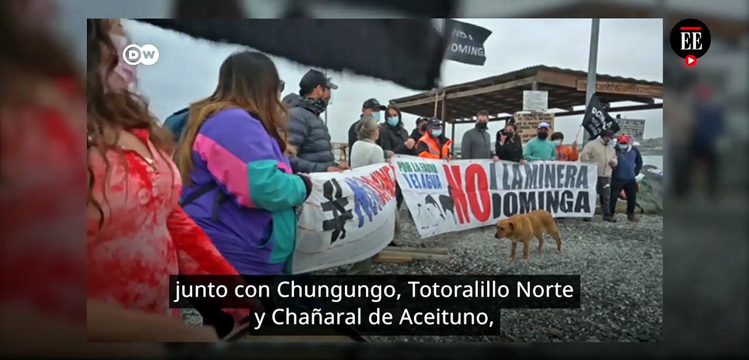 Proyecto minero amenaza delfines y pingüinos en isla de Choros en Chile