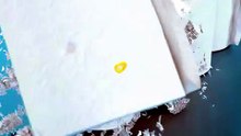 How Many Toilet Paper Rolls Stop A Bullet