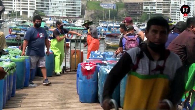 Emergencia ambiental en Perú: derrame de petróleo afecta animales y pescadores