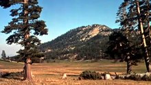 Bonanza S1 x E22