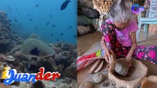 Yamang likas ng Isla Verde at 96-anyos na lolang namamalayok sa San Juan! | I Juander