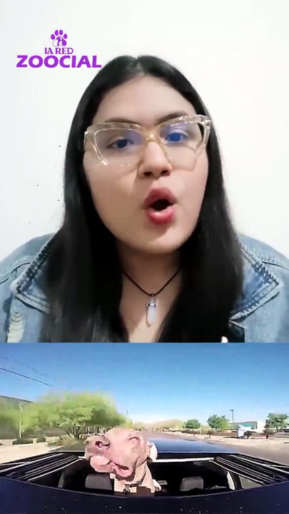 Todo lo que debe saber sobre el proyecto de ley...