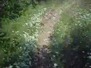 Gilera rcr enduro 2008