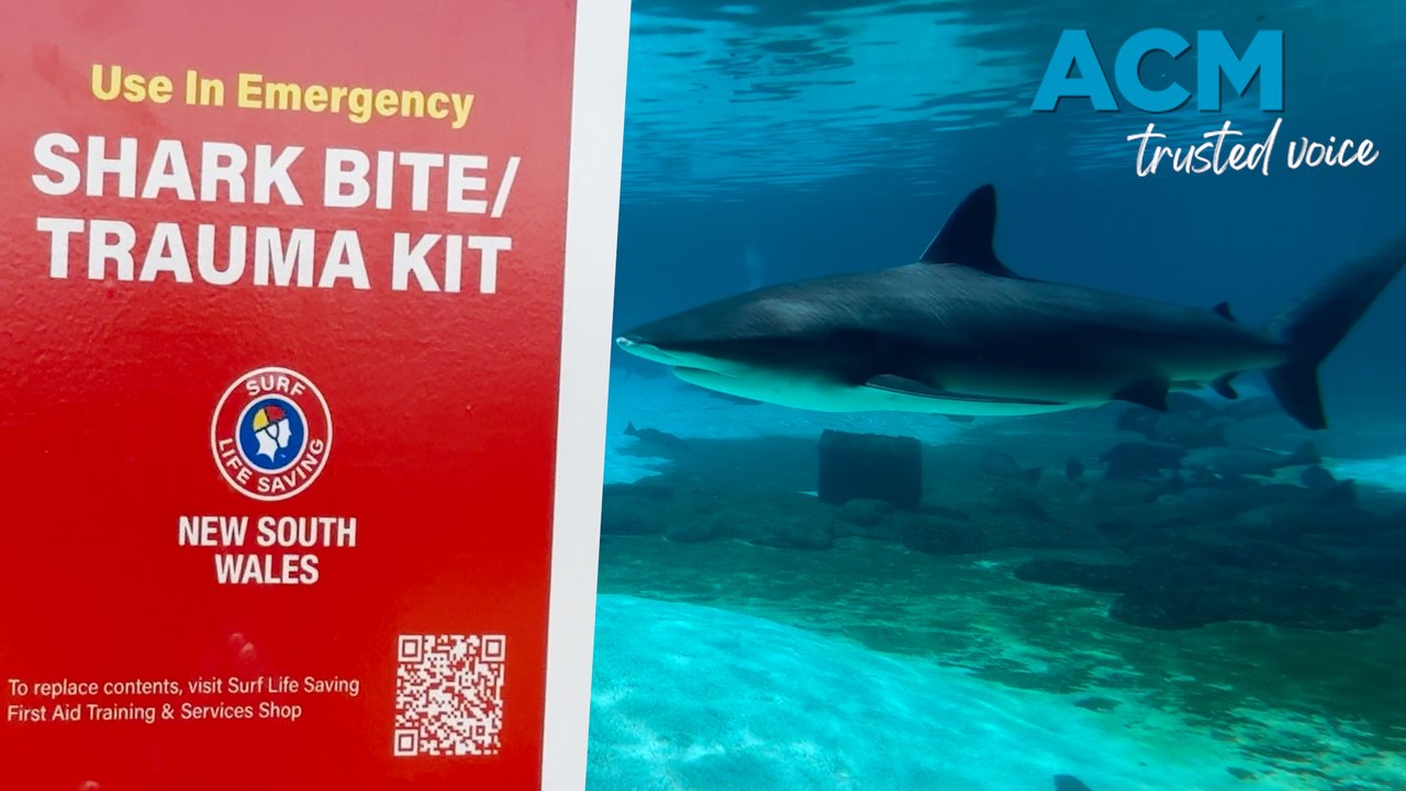 Seconds matter: how to give first aid after a shark attack