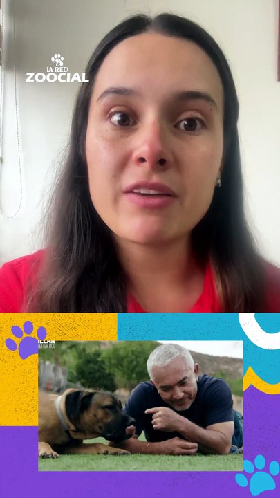 ¿Convivir con mascotas protege el cerebro?
