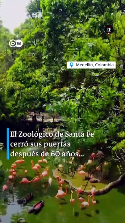 Parque de la Conservación: refugio para animales en Medellín