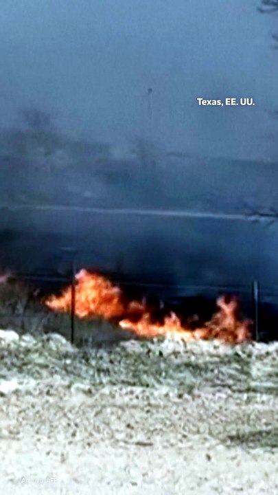 Texas enfrenta uno de los mayores incendios forestales de su historia