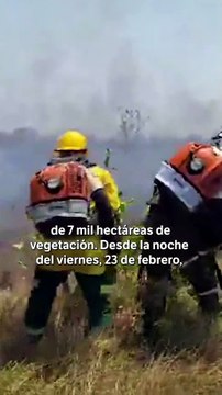 Incendio forestal en Vichada ha consumido unas 7 mil hectáreas