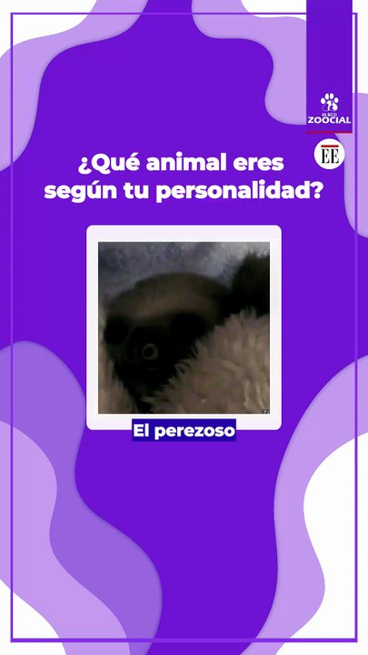 ¿Con cuál animal te identificas más?