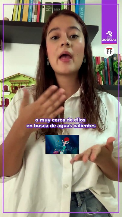 ¿Qué puede causar la fragata portuguesa?