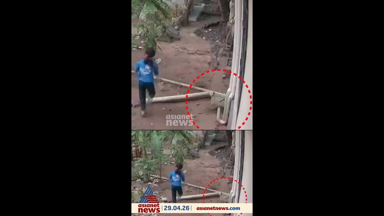 കളിക്കുന്നതിനിടെ കുട്ടിക്ക് അരികിലേക്ക് ഇഴഞ്ഞെത...