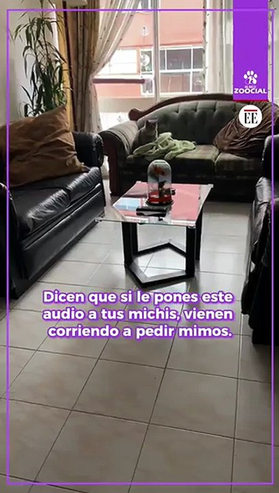 ¿Conocía este truco?