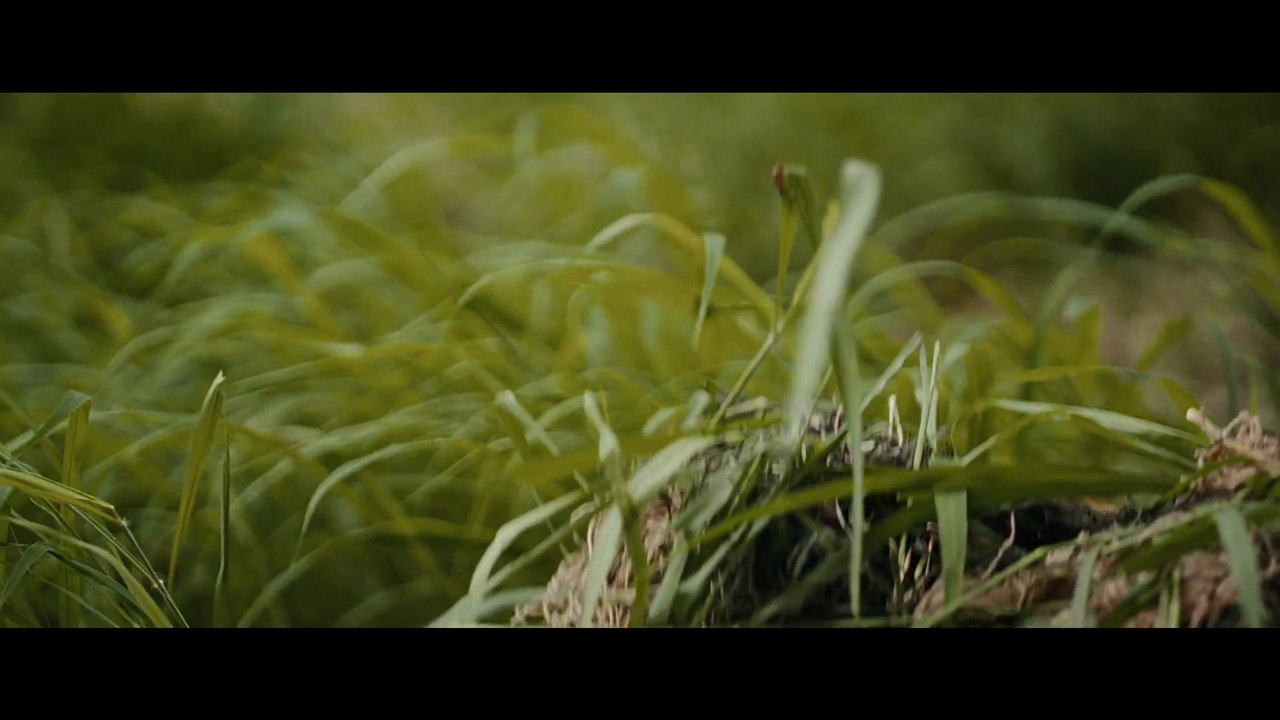 Seven Snipers Trailer (2) OV